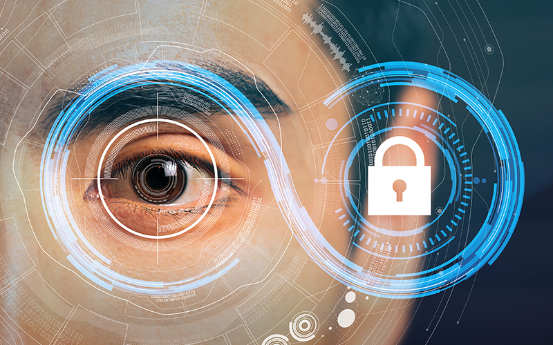 HCL VersionVault provides Security