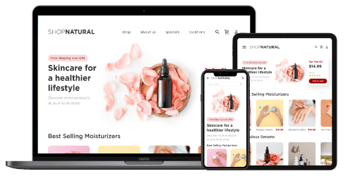 Native-function interface for widgets and APIs