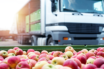 Cybersecurity-HCL BigFix Secures Extensive IT Infrastructure and Provides Peace of Mind for Reynolds